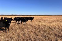 Land for sale in Seminole County, Oklahoma