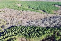 Land for sale in Cleburne County, Arkansas