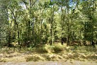 Land for sale in Jefferson Davis Parish, Louisiana