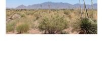 Land for sale in Luna County, New Mexico