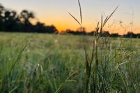 Land for sale in Matagorda County, Texas