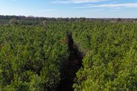 Land for sale in Elmore County, Alabama