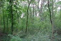 Land for sale in Kane County, Illinois