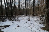 Undeveloped Land for sale in Merrimack County, New Hampshire