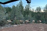 Land for sale in Gila County, Arizona