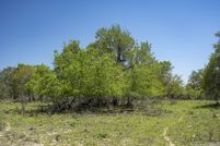 Land for sale in Medina County, Texas
