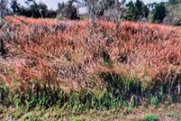 Homesite for sale in Sarasota County, Florida