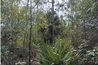 Land for sale in Collier County, Florida