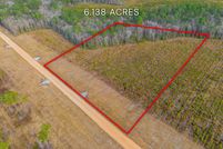 Undeveloped Land for sale in Bulloch County, Georgia
