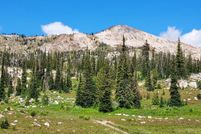 Undeveloped Land for sale in Idaho County, Idaho