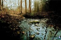 Waterfront Property for sale in Buckingham County, Virginia