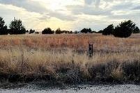 Land for sale in Navarro County, Texas