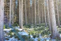 Land for sale in Caledonia County, Vermont