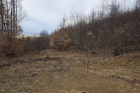 Undeveloped Land for sale in Fayette County, West Virginia