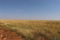 Land for sale in Curry County, New Mexico