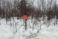Undeveloped Land for sale in Aroostook County, Maine