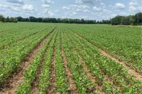 Land for sale in Mille Lacs County, Minnesota