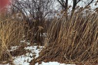 Land for sale in Lake County, Ohio