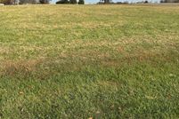 Homesite for sale in White County, Illinois