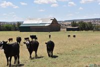 Land for sale in Guadalupe County, New Mexico