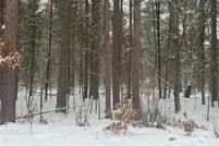 Undeveloped Land for sale in Burnett County, Wisconsin