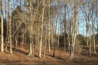 Homesite for sale in Randolph County, Alabama