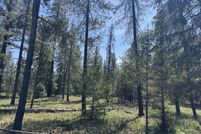 Land for sale in Sanders County, Montana
