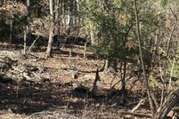 Land for sale in Lexington County, South Carolina