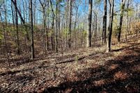Land for sale in Winston County, Alabama