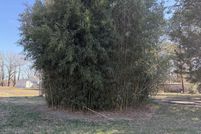 Undeveloped Land for sale in White County, Arkansas