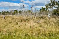 Land for sale in Manistee County, Michigan