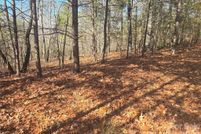 Undeveloped Land for sale in Polk County, North Carolina