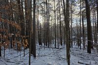 Timberland Property for sale in Essex County, New York