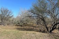 Undeveloped Land for sale in Dewitt County, Texas