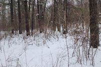 Land for sale in Newaygo County, Michigan