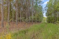 Land for sale in Marion County, Tennessee