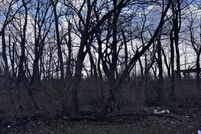 Lakefront Property for sale in Grundy County, Illinois