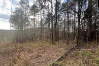 Undeveloped Land for sale in Lawrence County, Kentucky
