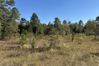 Undeveloped Land for sale in Aiken County, South Carolina