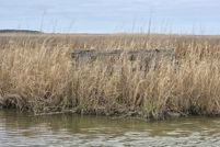 Land for sale in Dorchester County, Maryland