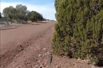 Land for sale in Navajo County, Arizona