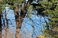 Land for sale in Skagit County, Washington