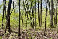 Land for sale in Sevier County, Tennessee