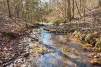 Land for sale in Cleburne County, Arkansas