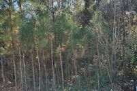 Land for sale in Troup County, Georgia