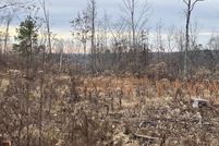 Land for sale in Madison County, Missouri