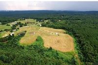 Undeveloped Land for sale in Winston County, Alabama