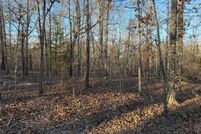 Land for sale in Lamar County, Texas