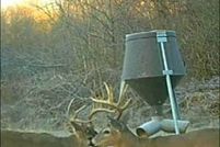 Undeveloped Land for sale in Edmonson County, Kentucky