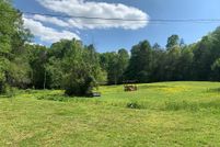 Land for sale in Fannin County, Georgia